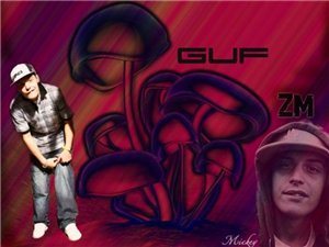 Guf - ZM Nation