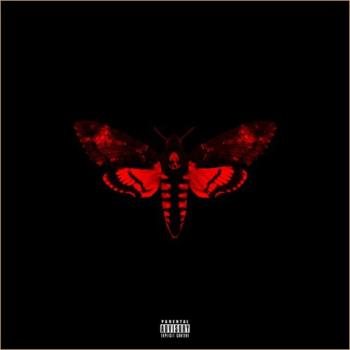 Lil Wayne - I Am Not A Human Being 2