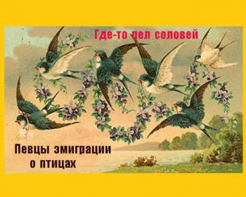 Сборник - Русская эмиграция - Тема о птицах-Где-то пел соловей