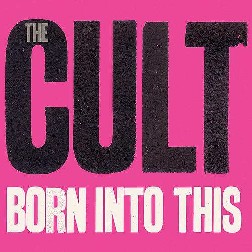 Постер The Cult Discography The Cult Discography