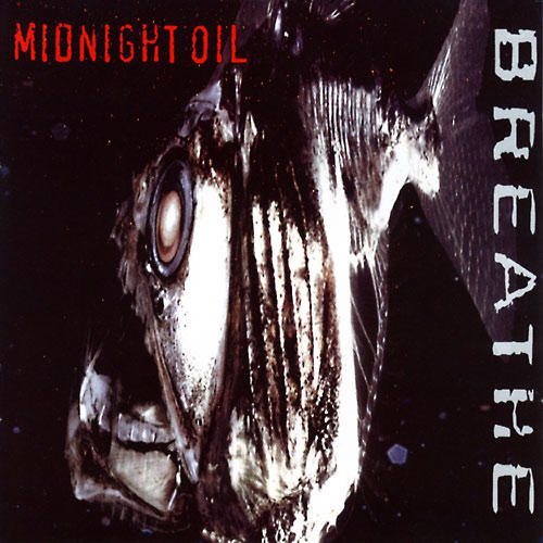 Постер Midnight Oil Discography Midnight Oil Discography