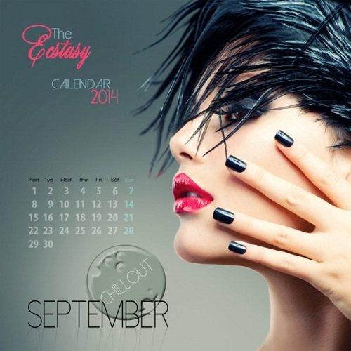 Постер VA - The Ecstasy Calendar 2014 VA - The Ecstasy Calendar 2014