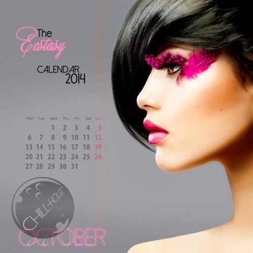 Постер VA - The Ecstasy Calendar 2014 VA - The Ecstasy Calendar 2014