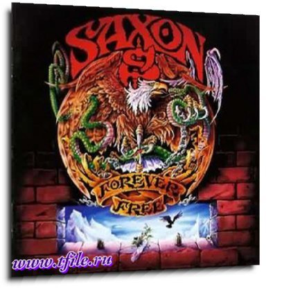 Постер Saxon - Студийная дискография Saxon - Студийная дискография
