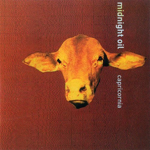 Постер Midnight Oil Discography Midnight Oil Discography