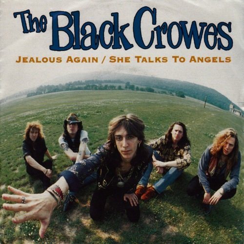 Постер The Black Crowes Discography The Black Crowes Discography