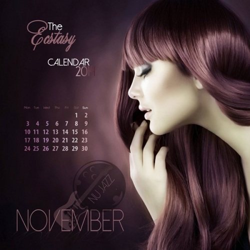 Постер VA - The Ecstasy Calendar 2014 VA - The Ecstasy Calendar 2014