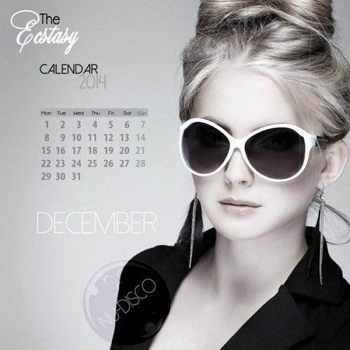 Постер VA - The Ecstasy Calendar 2014 VA - The Ecstasy Calendar 2014