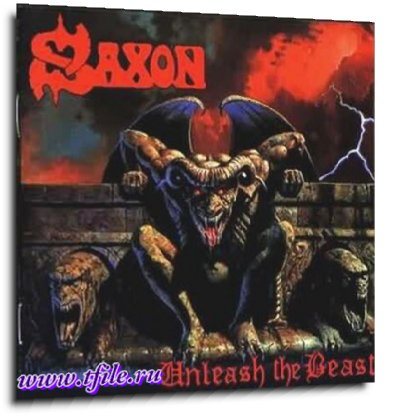 Постер Saxon - Студийная дискография Saxon - Студийная дискография