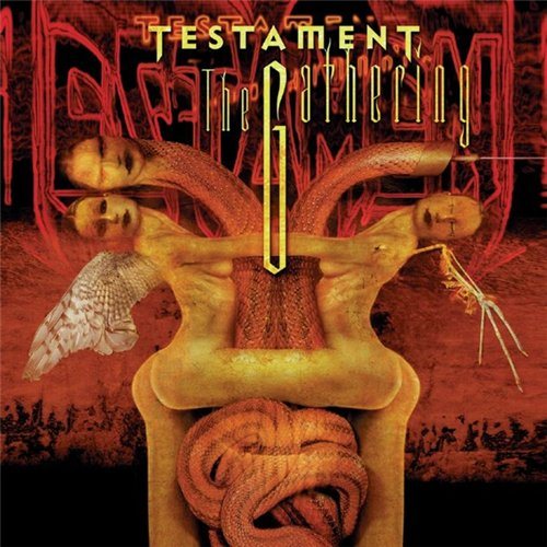 Постер Testament - Discography Testament - Discography