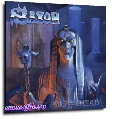 Постер Saxon - Студийная дискография Saxon - Студийная дискография