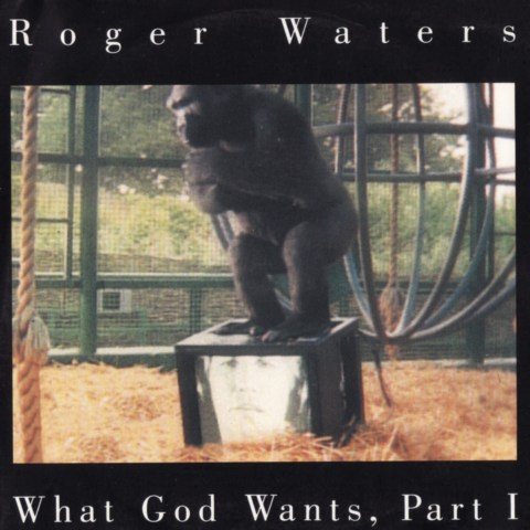 Постер Roger Waters Discography Roger Waters Discography