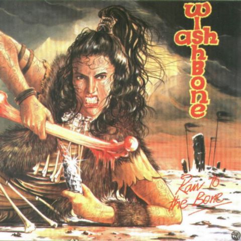Постер Wishbone Ash Discography Wishbone Ash Discography