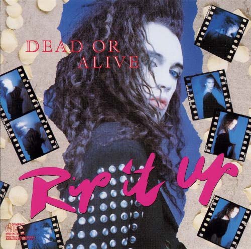 Постер Dead Or Alive - Discography Dead Or Alive - Discography