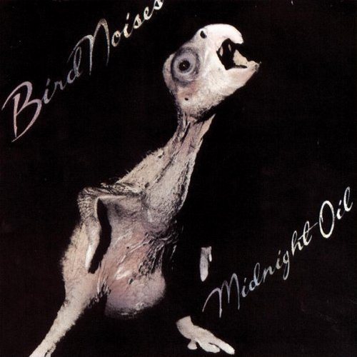 Постер Midnight Oil Discography Midnight Oil Discography