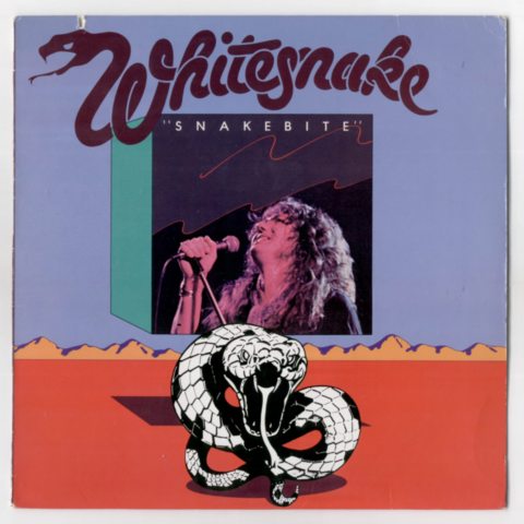 Постер David Coverdale Discography David Coverdale Discography