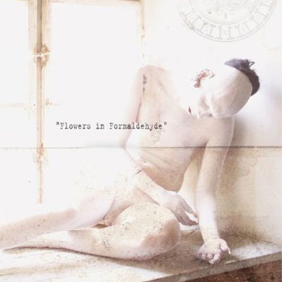 Постер Sopor Aeternus The Ensemble Of Shadows - Discography Sopor Aeternus The Ensemble Of Shadows - Discography