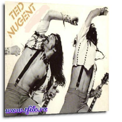 Постер Ted Nugent Ted Nugent