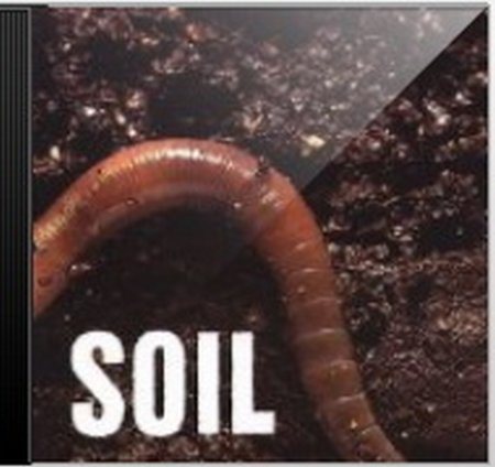 Постер Soil - Дискография Soil - Дискография