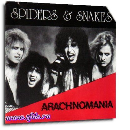 Постер Spiders Snakes - Дискография Spiders Snakes - Дискография