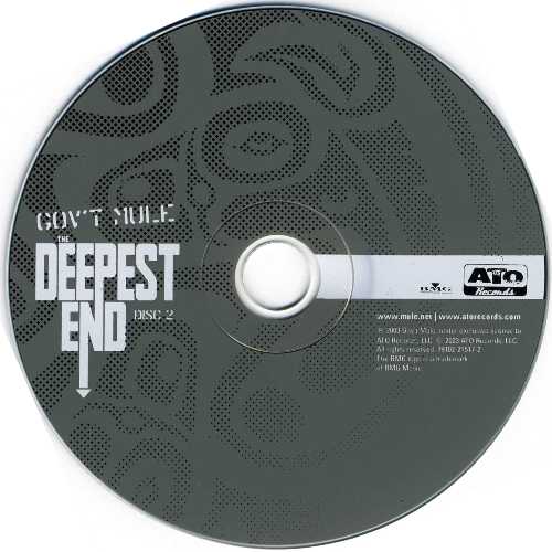 Постер Gov`t Mule - The Deepest End Gov`t Mule - The Deepest End