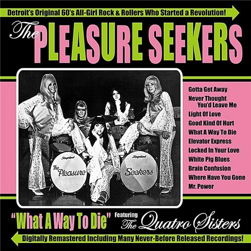 Постер Suzi Quatro - Discography Suzi Quatro - Discography