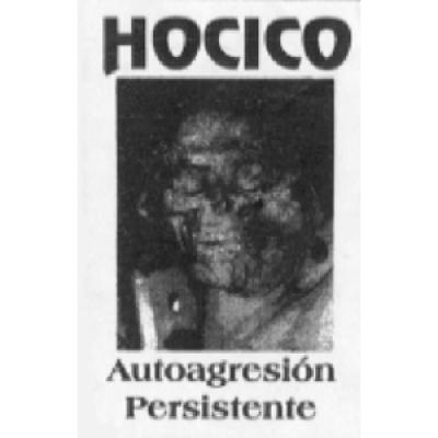 Постер Hocico - Discography Hocico - Discography
