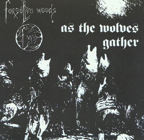 Постер Forgotten Woods - Discography Forgotten Woods - Discography