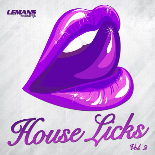 Постер VA - House Licks Vol 1-3 VA - House Licks Vol 1-3