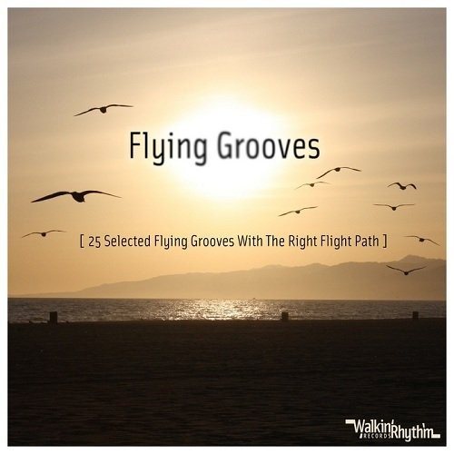 Постер VA - Flying Grooves, Vol. 1-2 VA - Flying Grooves, Vol. 1-2