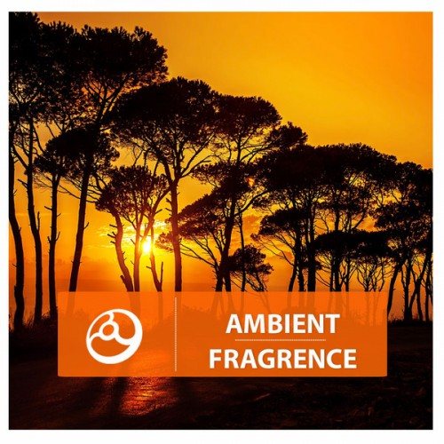 Постер VA - Ambient Fragrence, Nights VA - Ambient Fragrence, Nights