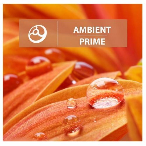 Постер VA - Ambient Prime, Treasure VA - Ambient Prime, Treasure