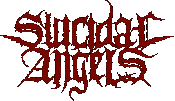 Постер Suicidal Angels - Divide And Conquer Suicidal Angels - Divide And Conquer