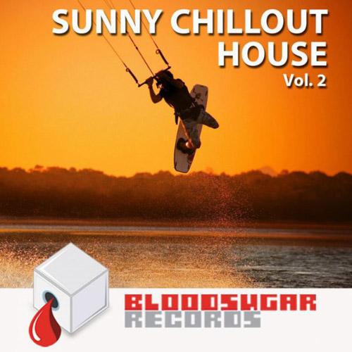 Постер VA - Sunny Chillout House, Vol. 2-3 VA - Sunny Chillout House, Vol. 2-3