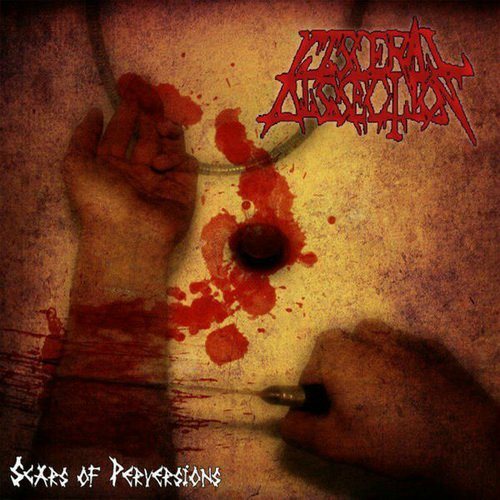Постер Visceral Dissection - Discography Visceral Dissection - Discography