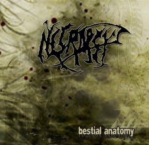 Постер Necropsy - Discography Necropsy - Discography