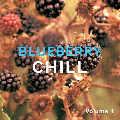 Постер VA - Blueberry Chill Vol 1-2 VA - Blueberry Chill Vol 1-2