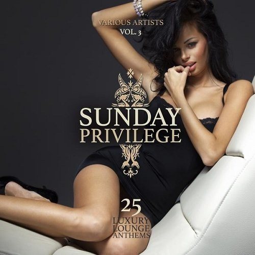 Постер VA - Sunday Privilege Vol 3-4 VA - Sunday Privilege Vol 3-4