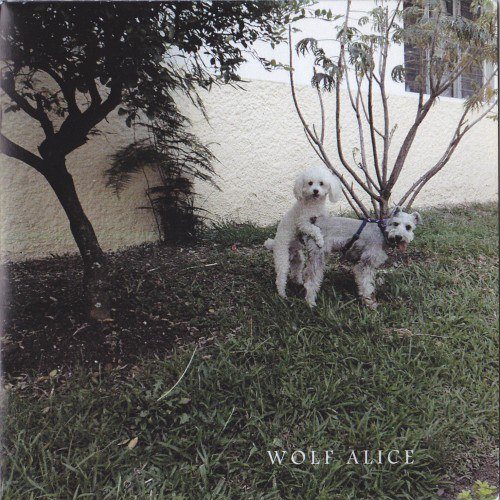 Постер Wolf Alice - Discography Wolf Alice - Discography