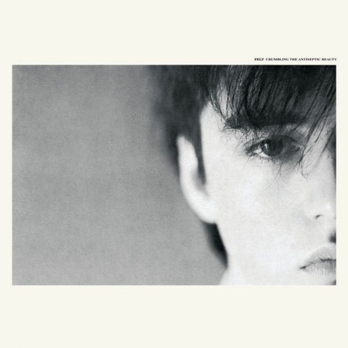 Постер Felt - Collection Felt - Collection