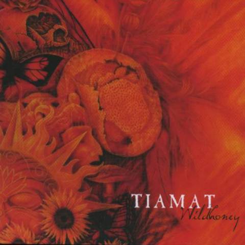Постер Tiamat Discography Tiamat Discography