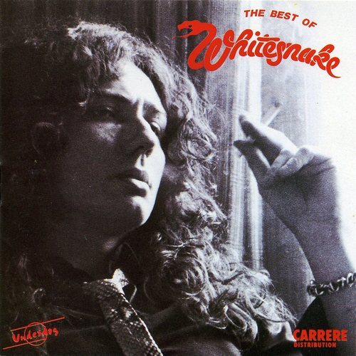 Постер Whitesnake Discography Whitesnake Discography