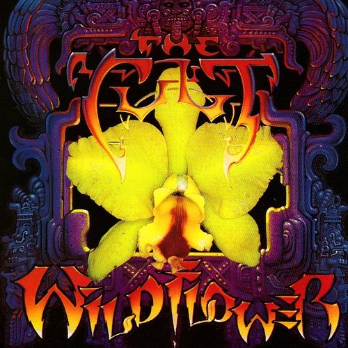 Постер The Cult Discography The Cult Discography