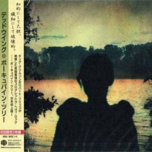 Постер Porcupine Tree Discography Porcupine Tree Discography
