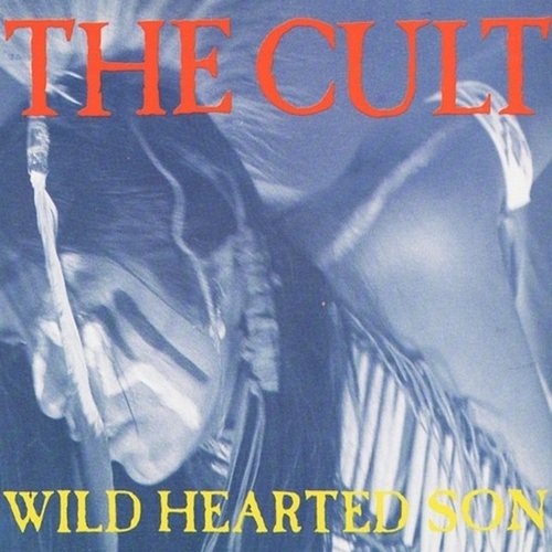 Постер The Cult Discography The Cult Discography