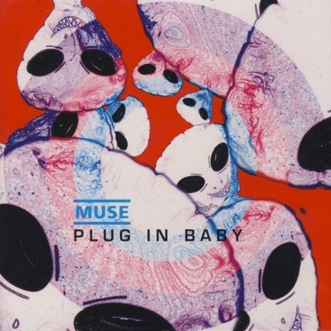 Постер Muse Discography Muse Discography