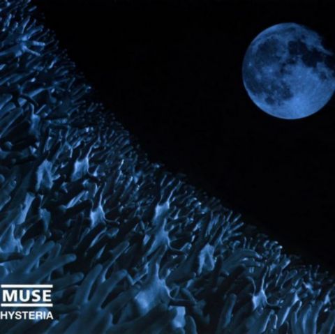 Постер Muse Discography Muse Discography