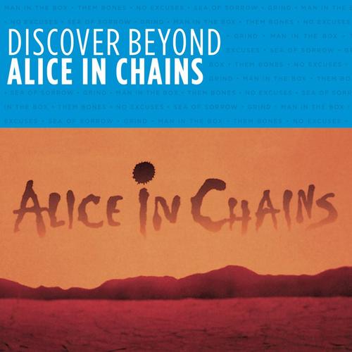 Постер Alice In Chains Discography Alice In Chains Discography