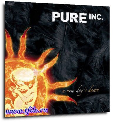 Постер Pure Inc. - Дискография Pure Inc. - Дискография