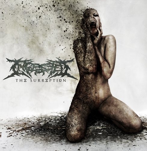 Постер Ingested - Дискография Ingested - Дискография